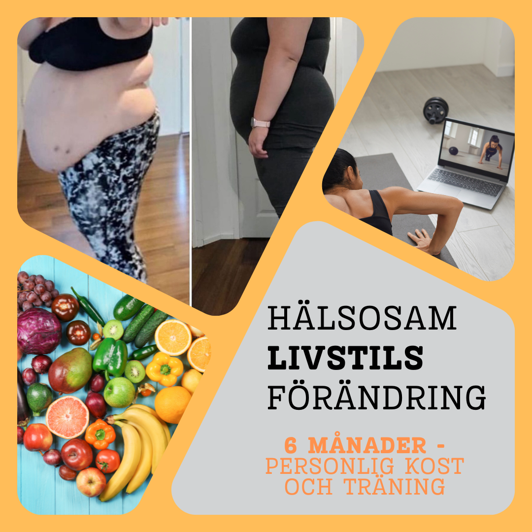 PERSONLIGT TRÄNINGSPROGRAM OCH KOSTRÅDGIVNING