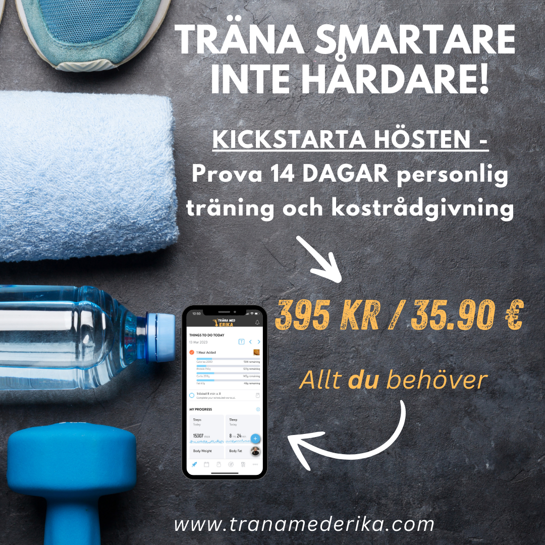 PERSONLIGT TRÄNINGSPROGRAM OCH KOSTRÅDGIVNING
