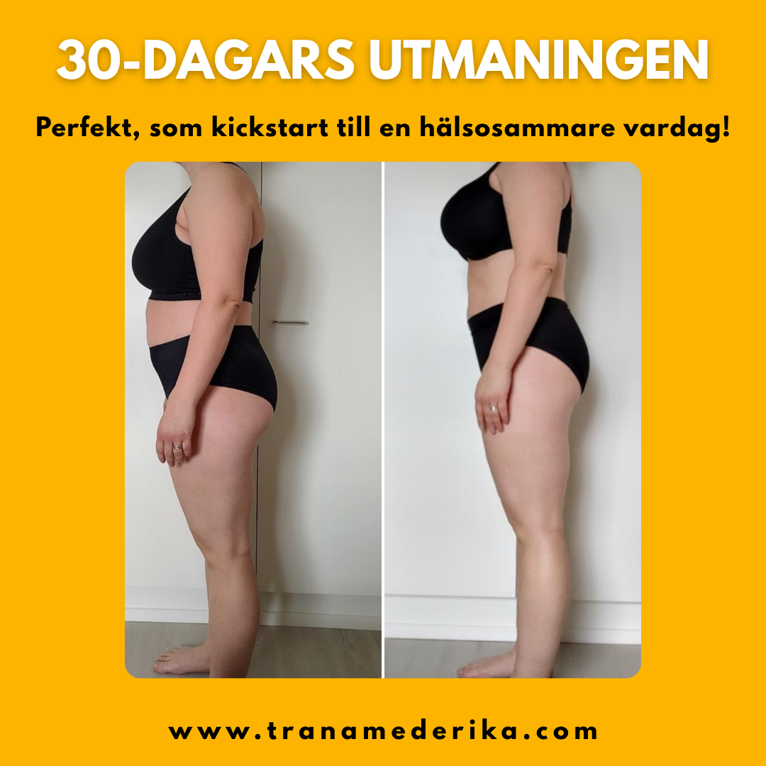 30-DAGARS UTMANINGEN