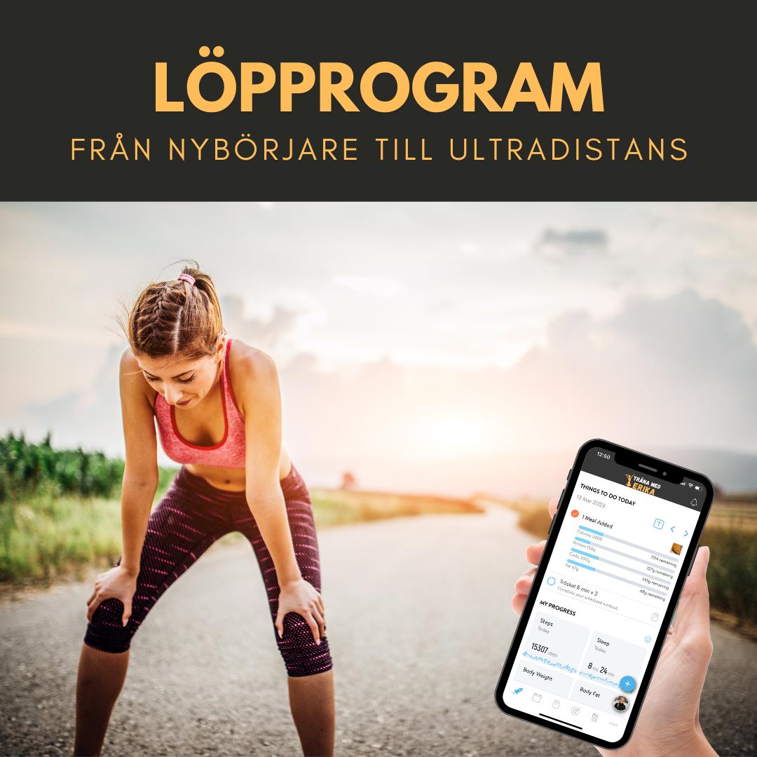 LÖPPROGRAM