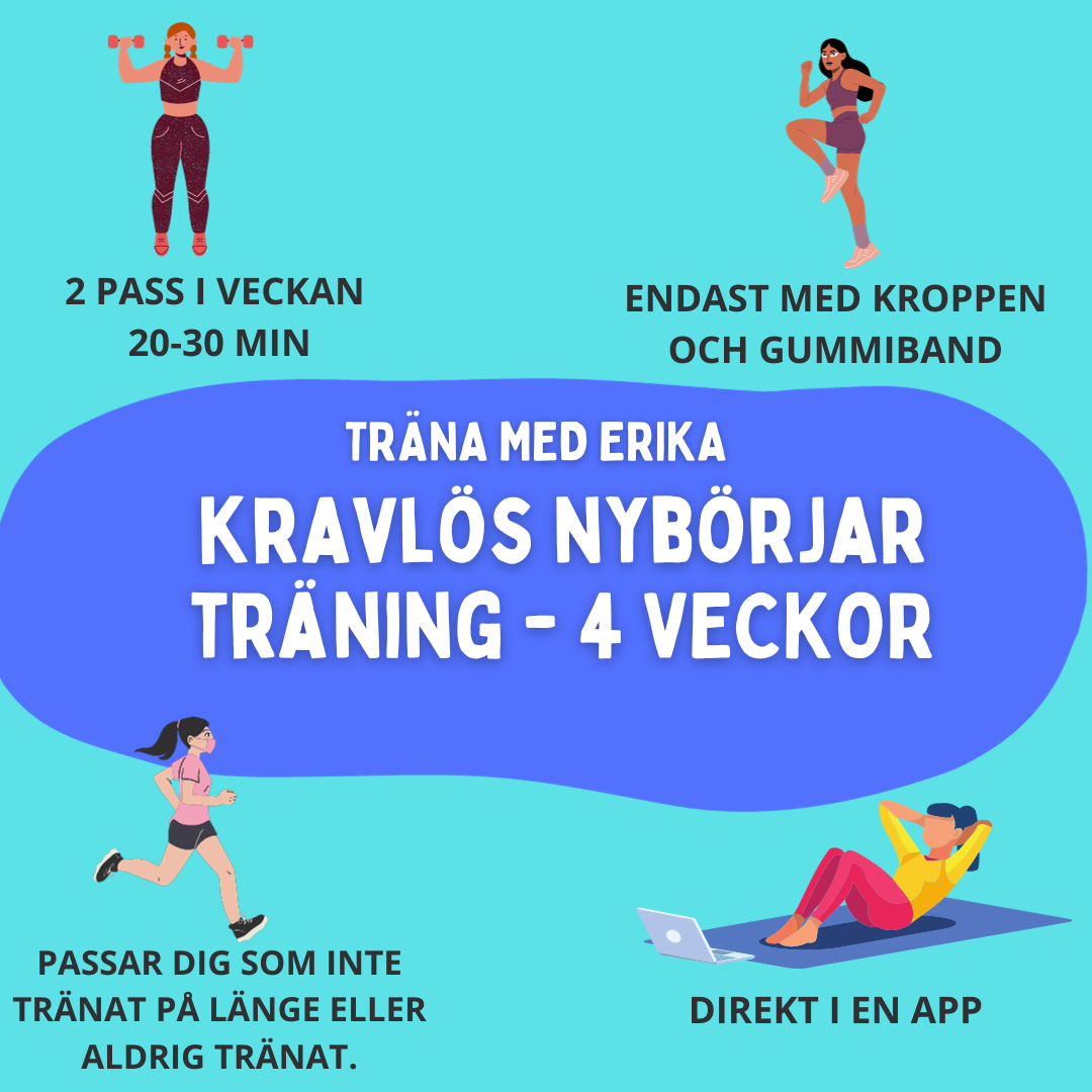 KRAVLÖS NYBÖRJAR TRÄNING