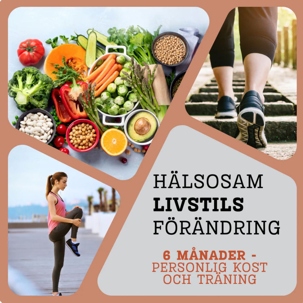 PERSONLIGT TRÄNINGSPROGRAM OCH KOSTRÅDGIVNING