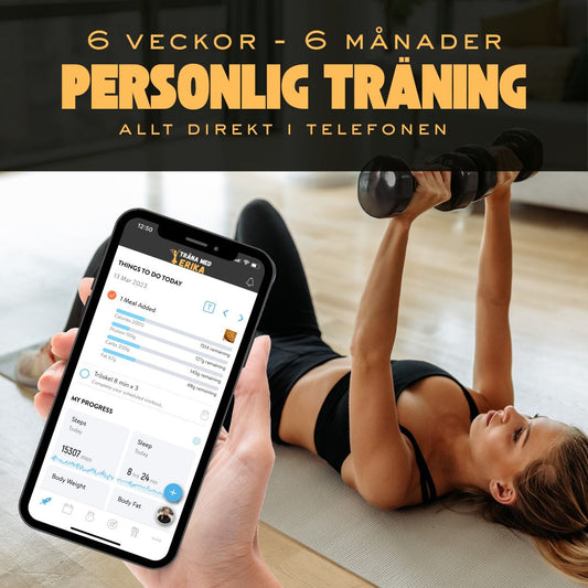 PERSONLIGT TRÄNINGSPROGRAM ONLINE