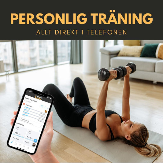 PERSONLIGT TRÄNINGSPROGRAM ONLINE