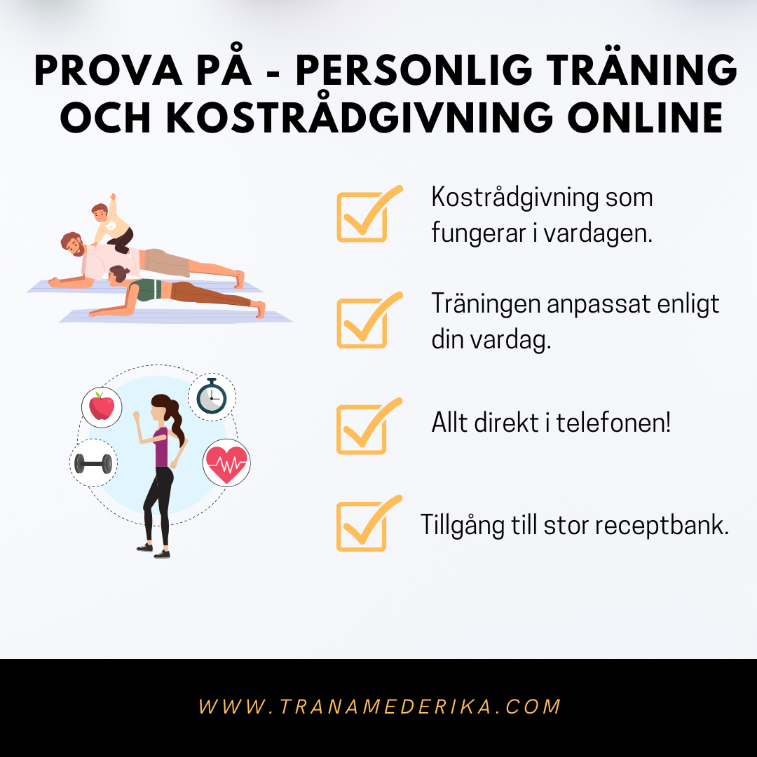 PERSONLIGT TRÄNINGSPROGRAM OCH KOSTRÅDGIVNING