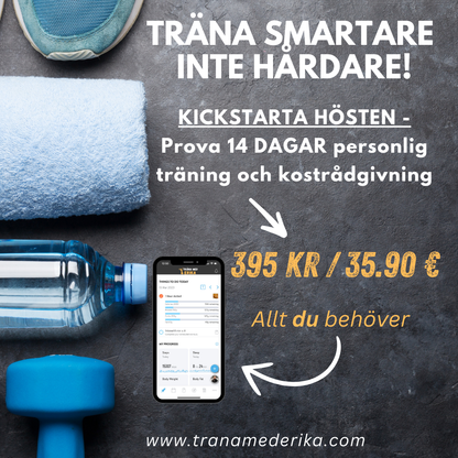 PERSONLIGT TRÄNINGSPROGRAM OCH KOSTRÅDGIVNING