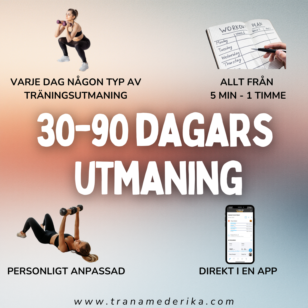 30-90 DAGARS UTMANING